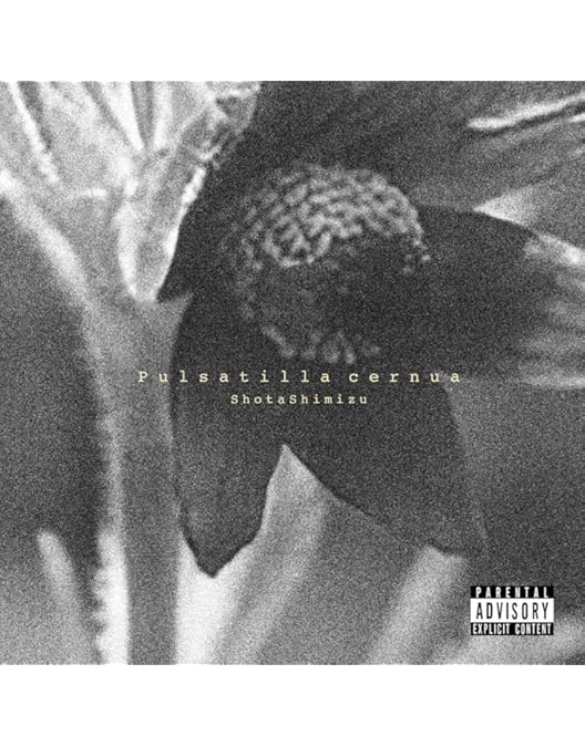 Amazon.co.jp: SHOTA SHIMIZU LIVE TOUR 2024 (DVD) : 清水翔太: DVD