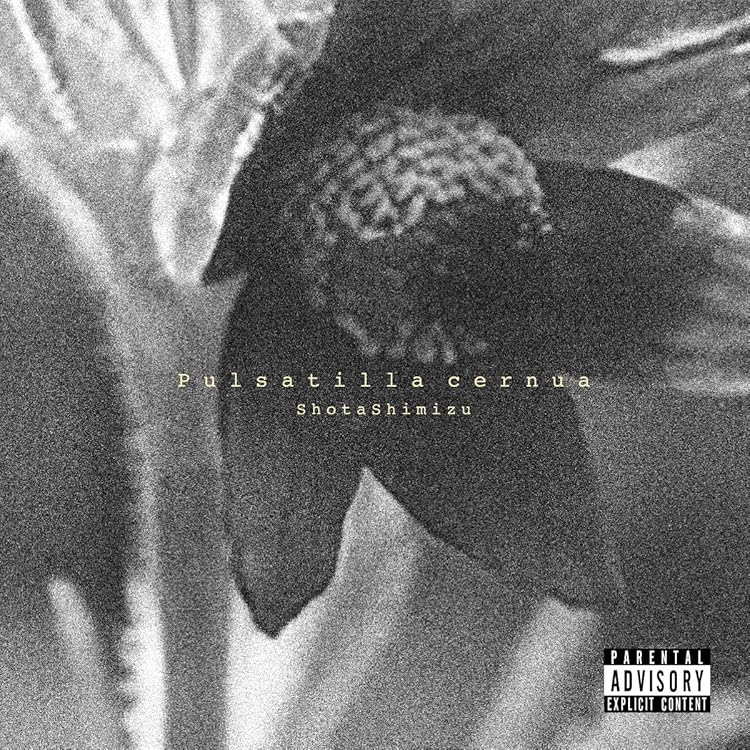 清水翔太 シングル アルバム セット 清水翔太Mini Album「period」が本日リリース！リード曲