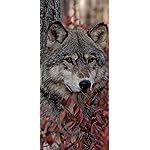 オオカミ iPhone 15,14,13,12,11,X 壁紙(1125x2436) Woelfe - Wolves - Loups 2021 Artwork: Kalender オオカミ iPhone 15,14,13,12,11,X 壁紙(1125x2436) Woelfe - Wolves - Loups 2021 Artwork: Kalender