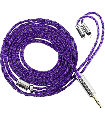 Amazon.co.jp: Linsoul SIMGOT EA1000 Fermat 10mm ダイナミック