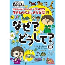 Amazon.co.jp: まちぼうけの生態学 アカオニグモと草むらの虫たち