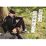 【Amazon.co.jp限定】君には届かない。　DVD-BOX(場面写真ポラロイド風カード（5枚）付) [DVD]