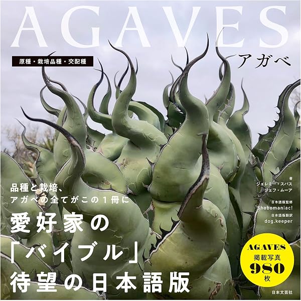 アガベ まとめて出品欲しいものコメント下さい Amazon.co.jp: Agave Geek 最新アガベDEEPマニアックス: 珍種から最新