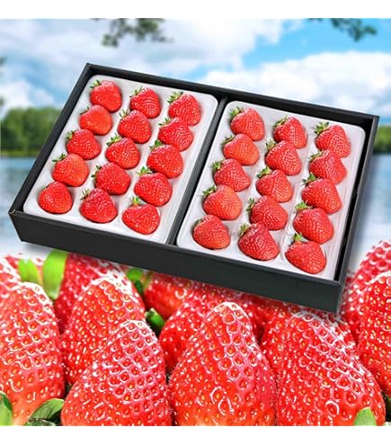 Amazon.co.jp: 【特選 糖度12度の別世界 いちご】常識を超えた甘さ