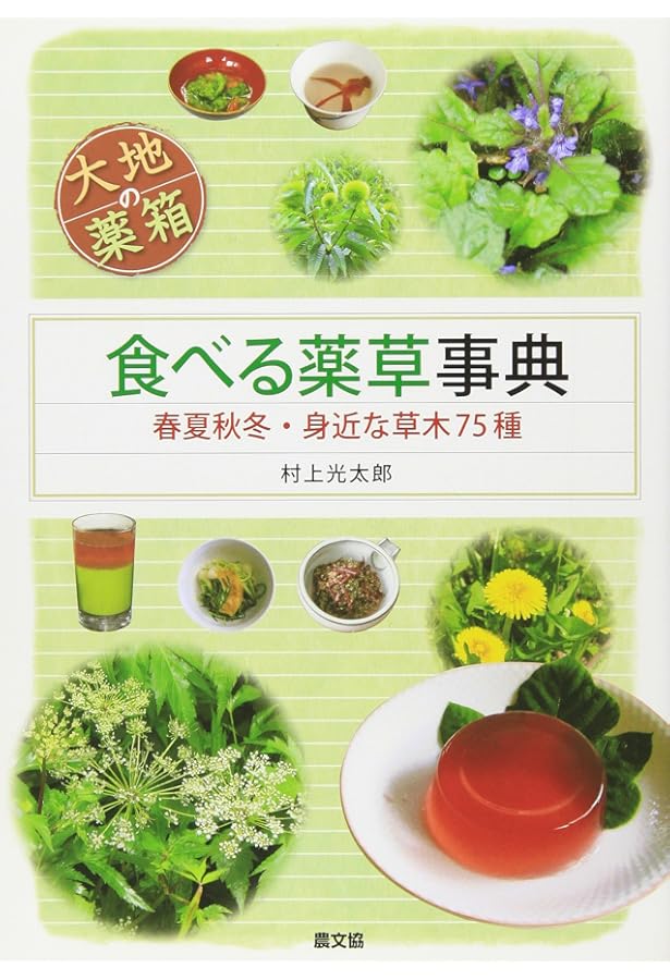 Amazon.co.jp: よく効くドクダミ療法 : 村上 光太郎: 本