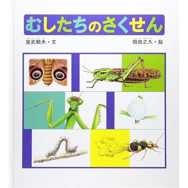 Amazon.co.jp: 自然のかくし絵 改訂新版: 写真絵本 : 矢島 稔
