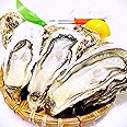 かきや no kakiya 三陸産 大粒 殻付き生かき ( 10個セット / 牡蠣むきナイフ ＋ レモン ＋ 軍手 付き / 生食用 )
