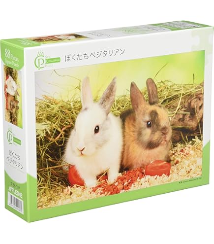 Amazon | 村上隆 フラワー カイカイキキ お花 108 Bonno MURAKAMI