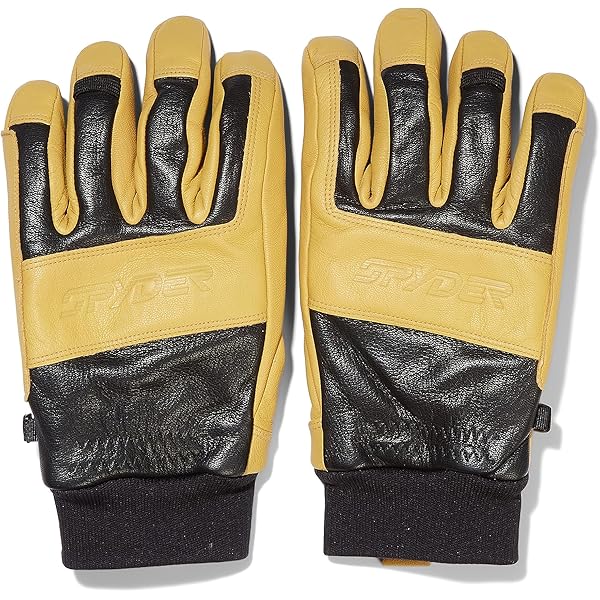 新品タグ付き SPYDER スパイダー GORE-TEX レーシンググラブ Amazon.co.jp: [スパイダー] メンズ 保温 スキーグローブ (GORE