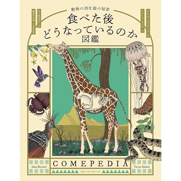 Amazon.co.jp: 動物と人間の関係を考える 日本人と動物のビッグ