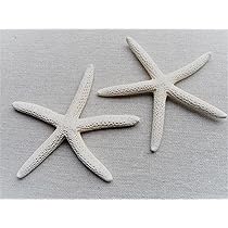 Steuben Galss スターフィッシュ ヒトデ 置物 Steuben Galss スターフィッシュ ヒトデ 置物 Steuben Galss