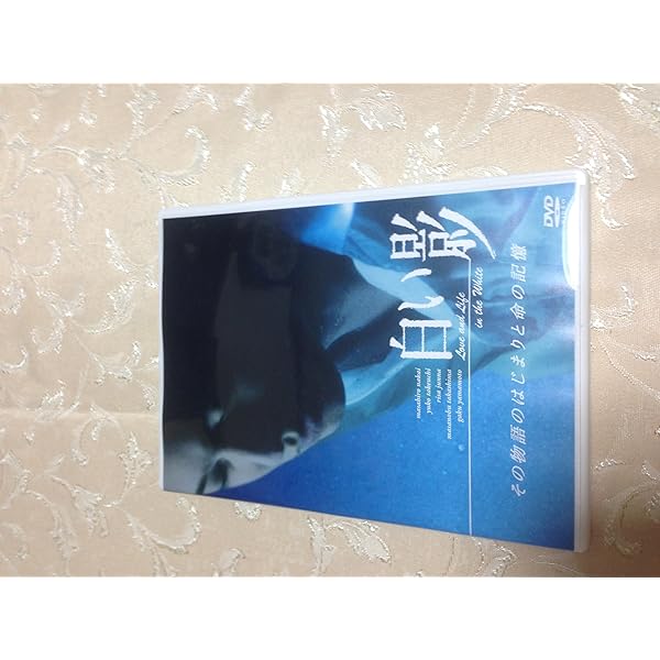 Amazon.co.jp: 最後の恋 DVD-BOX : 中居正広, 常盤貴子, 細川直美 