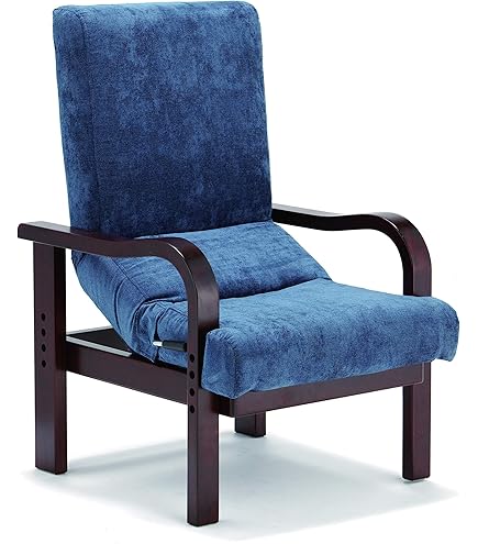 Amazon.co.jp: フランスベッド 背中が曲がった人向けの椅子 高座椅子