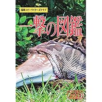 TCC年鑑　2020年 コピー年鑑2022 | 東京コピーライターズクラブ |本 | 通販 | Amazon