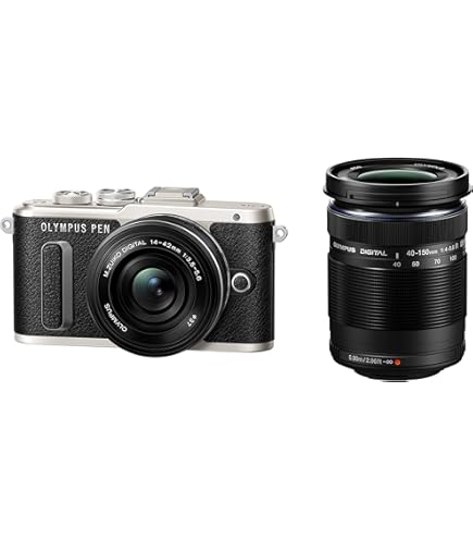 Amazon | OLYMPUS ミラーレス一眼 OM-D E-M10 ダブルズームキット