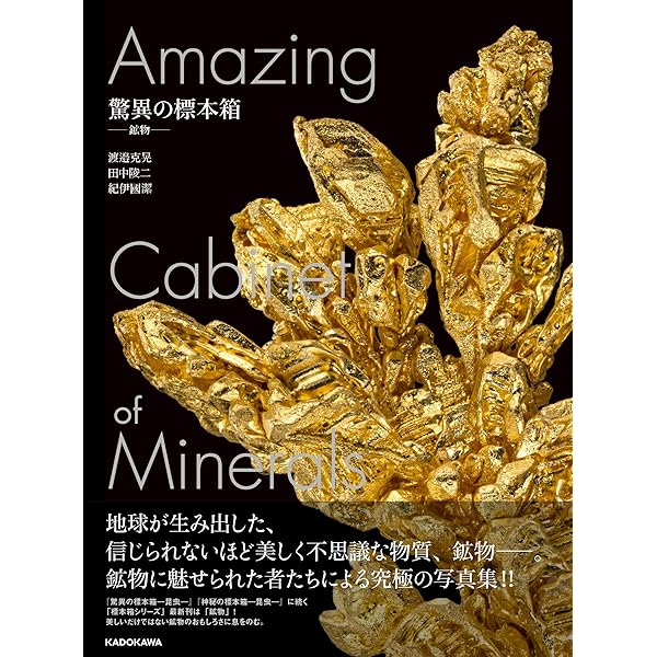 【中古本】鉱物・宝石の科学事典 鉱物・宝石の科学事典