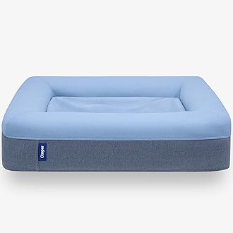 memory foam dog bed sale