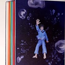 91qRm3LvW6L._AC_UL210_SR210,