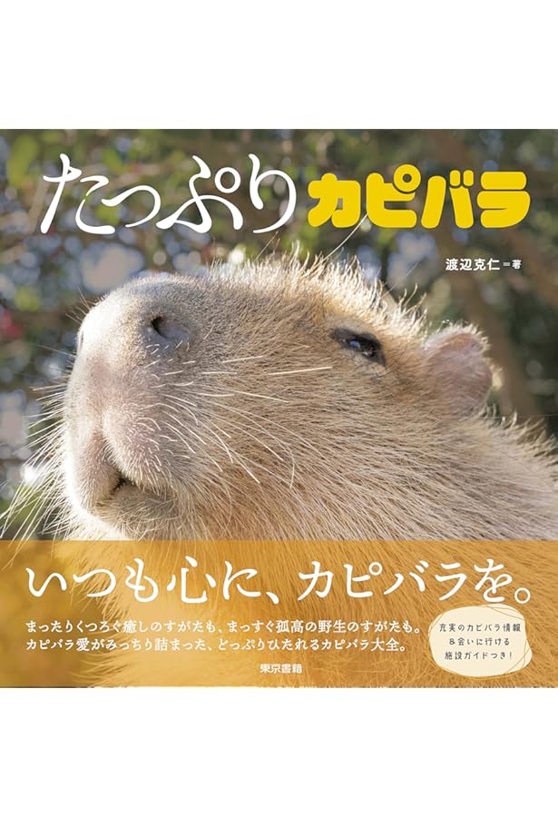 カピバラ Latest] 27 Zoos in Japan Where You Can Meet Capybaras💛 - YouTube