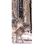 オオカミ iPhone 15,14,13,12,11,X 壁紙(1125x2436) Woelfe - Wolves - Loups 2021 Artwork: Kalender オオカミ iPhone 15,14,13,12,11,X 壁紙(1125x2436) Woelfe - Wolves - Loups 2021 Artwork: Kalender