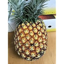 パイン　ゴールドバレル9㎏ Amazon.co.jp: ゴールドバレル1個（約1.2キロ）沖縄東村産の
