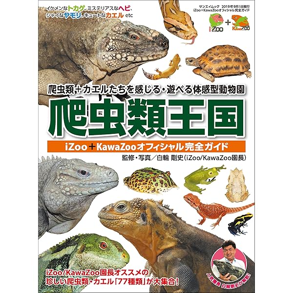 Amazon.co.jp: 経皮毒データブック487（日用品編） eBook : 稲津 教久