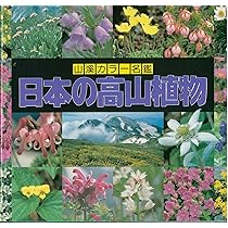 日本の高山植物 (山渓カラー名鑑) | 豊国 秀夫, 豊国 秀夫 |本 | 通販