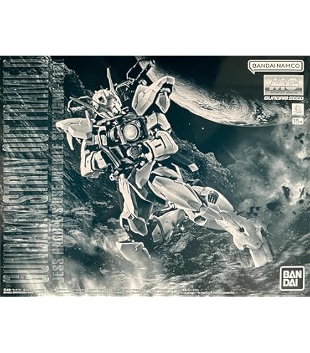 機動戦士ガンダムSEED DESTINY ASTRAY B 上下　カード付き Amazon.co.jp: 機動戦士ガンダムSEED DESTINY ASTRAY B (下