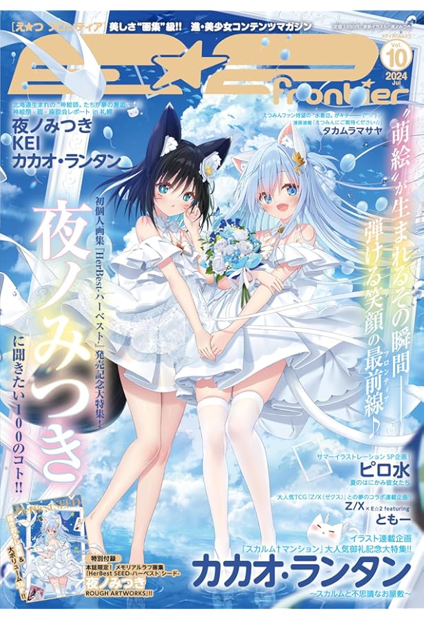 Amazon.co.jp: E☆2(えつ) frontier Vol.1 (メディアパルムック) : 本