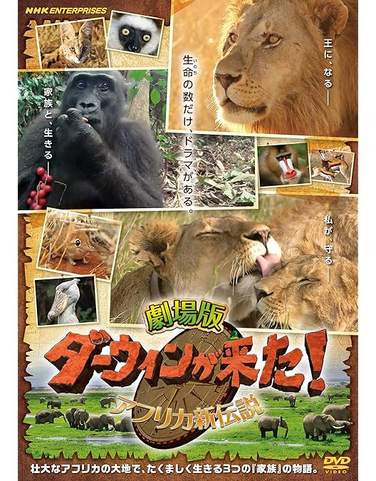 ダーウィンが来た！ DVDセット4 Amazon.co.jp: ダーウィンが来た!生き物新伝説 第4巻 [DVD] : DVD