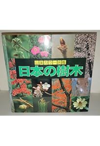Amazon.co.jp: 増補改訂新版 日本の樹木 (山溪カラー名鑑) : 編・解説