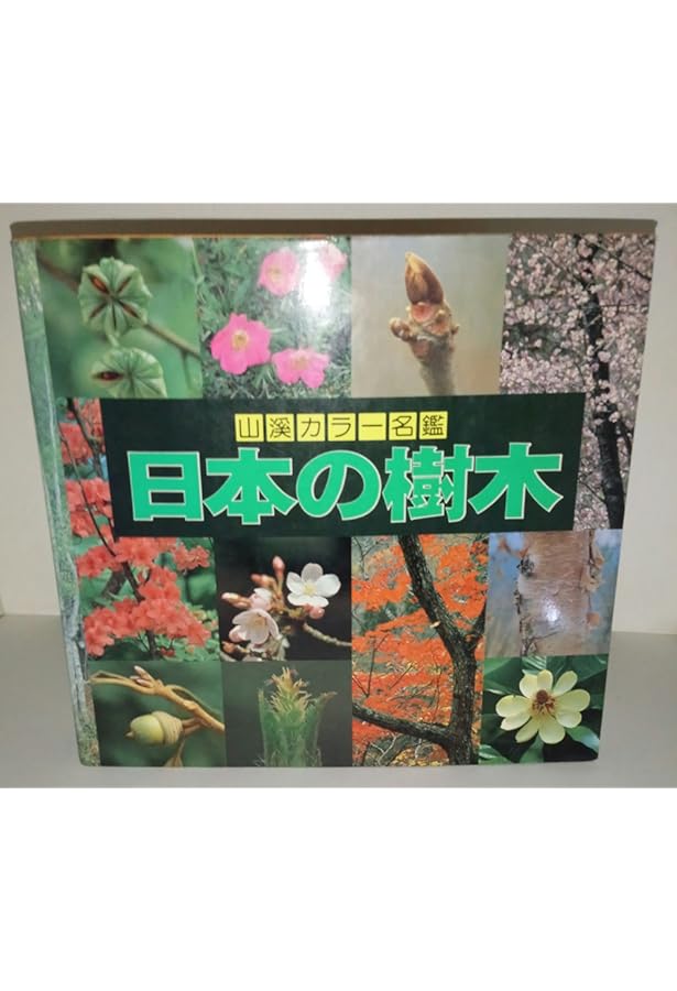 Amazon.co.jp: 増補改訂新版 日本の樹木 (山溪カラー名鑑) : 編・解説