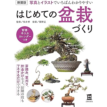 Amazon.co.jp 売れ筋ランキング: 盆栽 の中で最も人気のある商品です