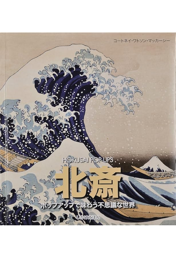 Amazon.co.jp: レオナルド・ダ・ヴィンチ: ポップアップで味わう不思議