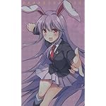 東方Project FVGA(480×800)壁紙 鈴仙・優曇華院・イナバ 東方Project FVGA(480×800)壁紙 鈴仙・優曇華院・イナバ