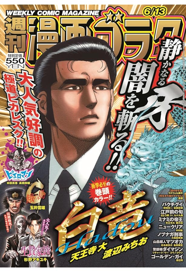 週刊 漫画ゴラク 2025年6月20日号 no.2953 週刊 漫画ゴラク 2025年6月20日号 no.2953 週刊 漫画ゴラク 2025