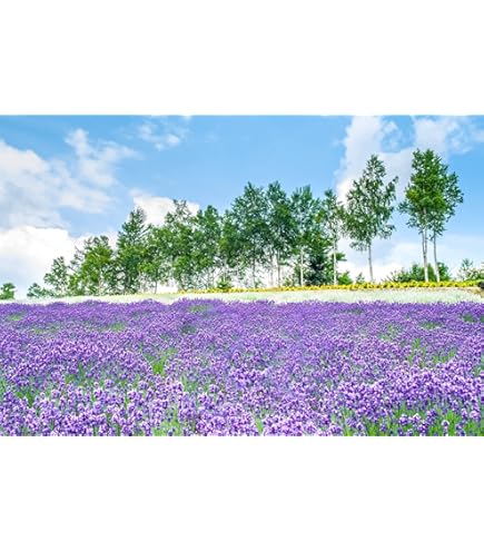 Amazon.co.jp: ND タペストリー 藤の花 インテリア おしゃれ グリーン