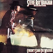 VAUGHAN BROTHERS ファミリー・スタイルプロモーションCD 非売品 Amazon.co.jp: Family Style: ミュージック