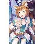 ここは俺に任せて先に行けと言ってから10年がたったら伝説になっていた。 FVGA(480×800)壁紙 ニア・ウルコット