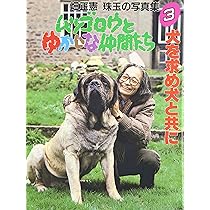 91sMQOObrrL._AC_UL210_SR210,