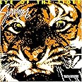 Eye of the Tiger