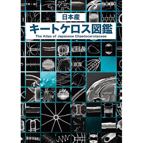 日本淡水産動植物プランクトン図鑑［第2版］ | 田中 正明 |本 | 通販