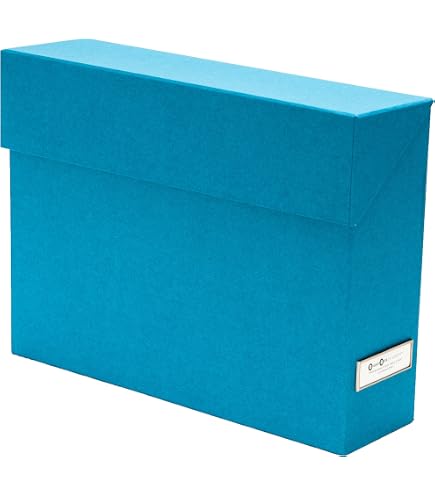 Leitz Premium Archive Box with Locking Flap, 120 mm Spine Width