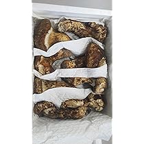 中国産 松茸 約1kg まつたけ マツタケ 中国産 松茸” 約1kg 原体・ほんのちょっと訳あり つぼみ〜開き