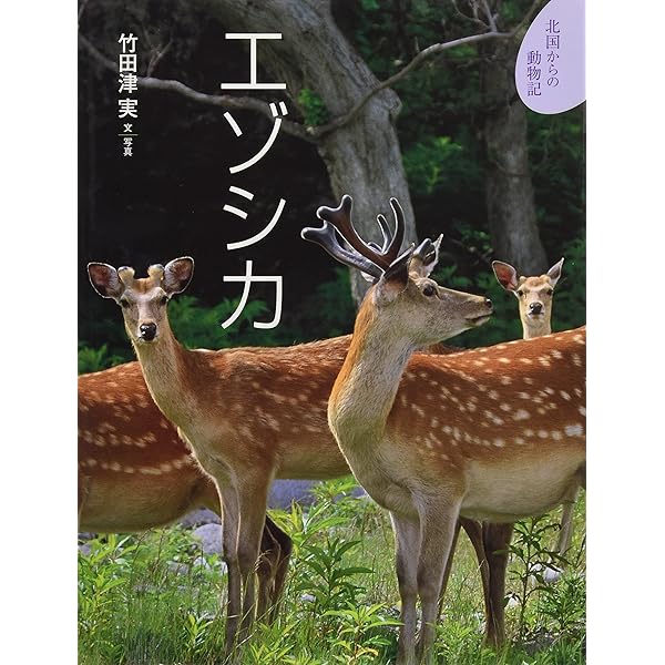 エゾシカは森の幸: 人・森・シカの共生 | 大泰司 紀之, 平田