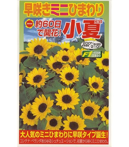 Amazon | アタリヤ農園 種 パレット枝咲きミニひまわり ミラクルビーム