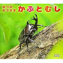 91swB67--qL._AC_UL210_SR210,