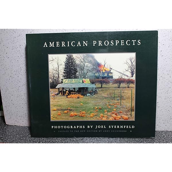 Amazon | American Prospects: Joel Sternfeld | Brougher, Kerry