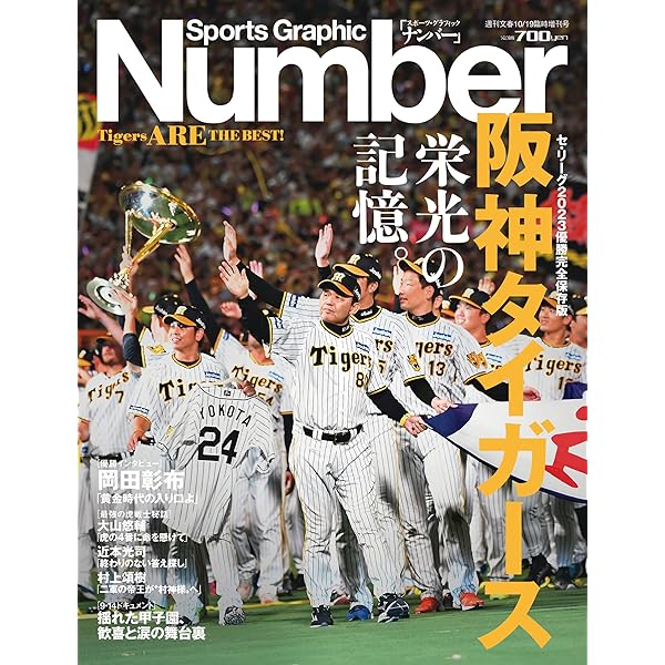 Amazon.co.jp: トライアンフ 1969 マン島TT優勝記念ポスター 