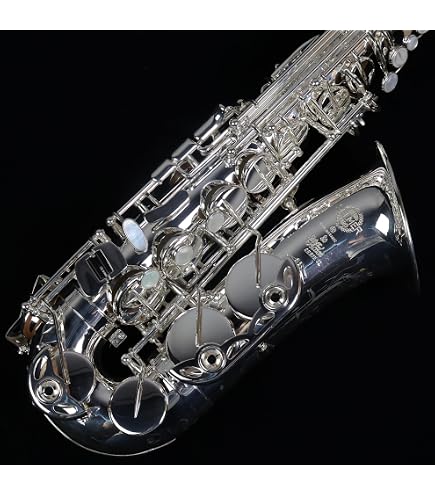 Amazon | H.Selmer Axos second generation アルトサックス/ゴールド